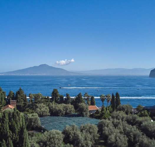 Balsameria of Villa Zagara Sorrento (NA)
